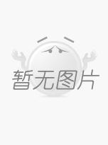 PPT报告制作与演绎技巧